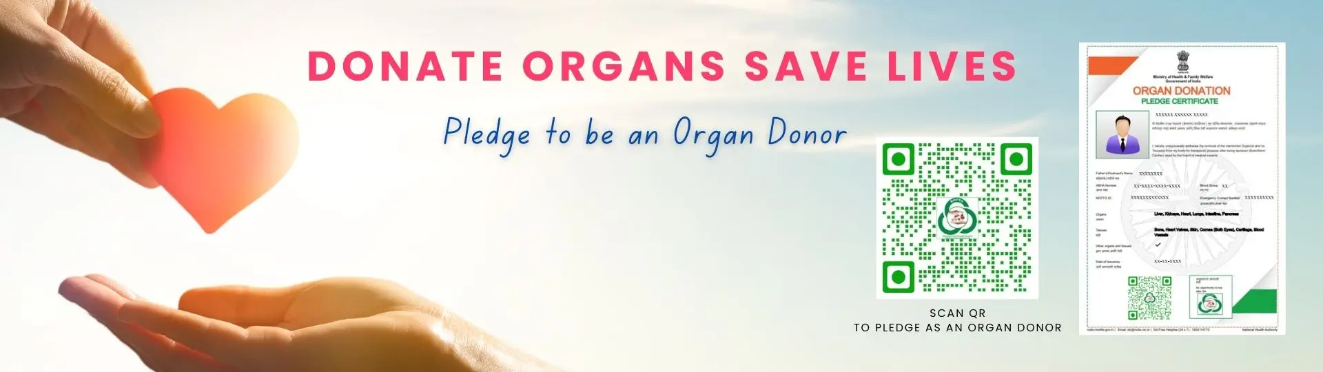 Become a Donor
